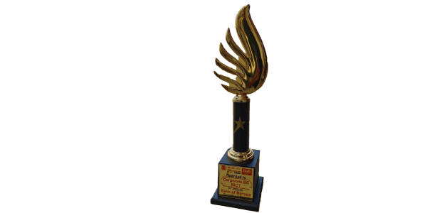award 29